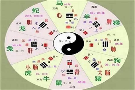 上字五行